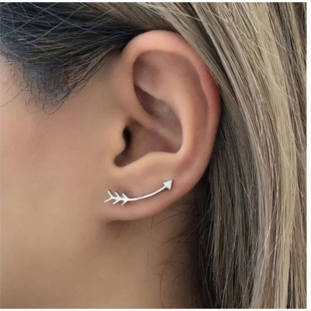 Silver Arrow Earclimber Earrings